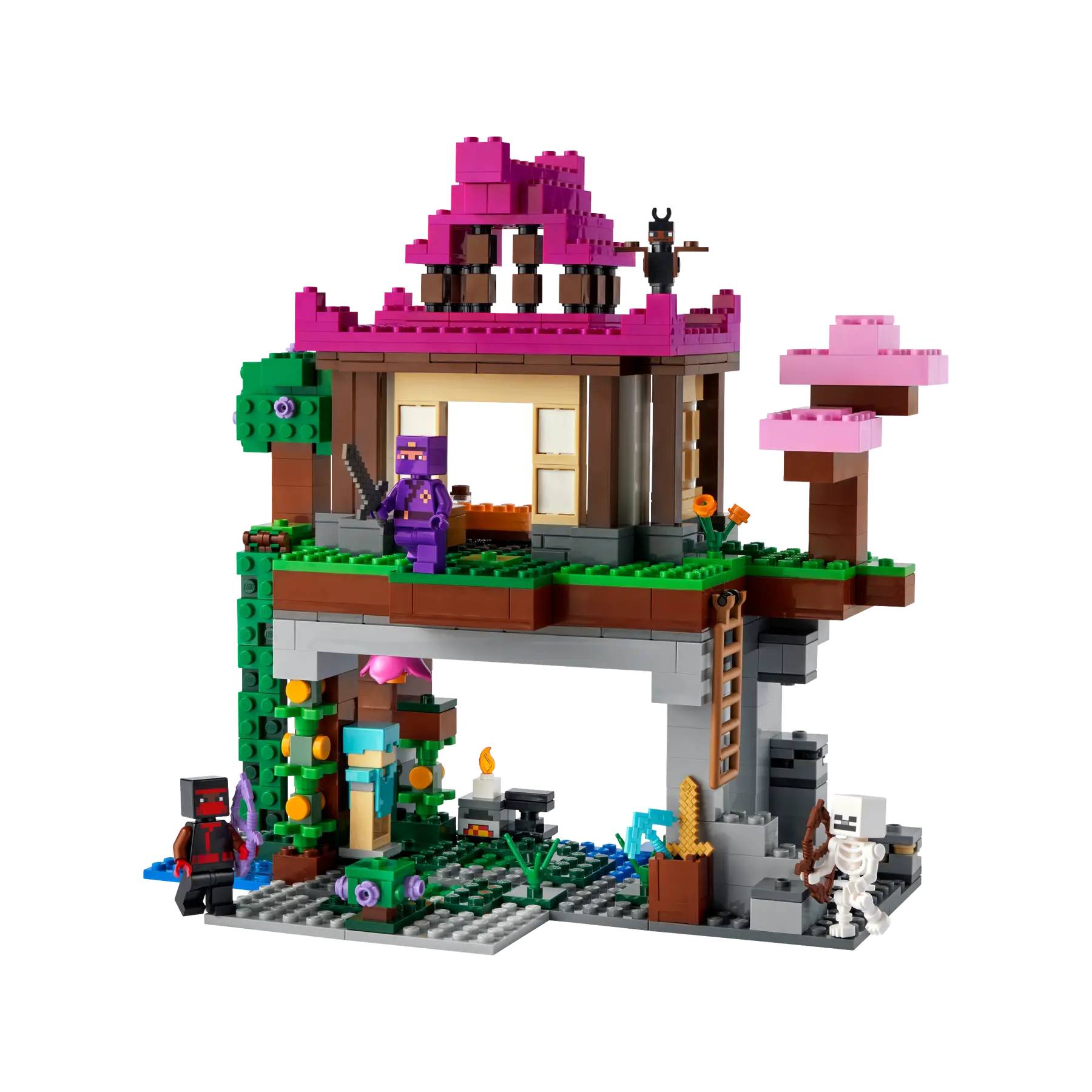 Minecraft - Treniruočių aikštelė, Lego - Image 3