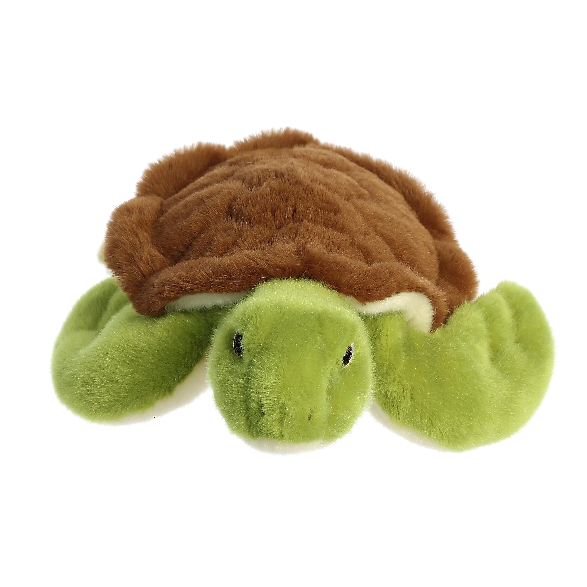 Aurora – Eco Nation pliušinis vėžlys - 27 cm - Image 2