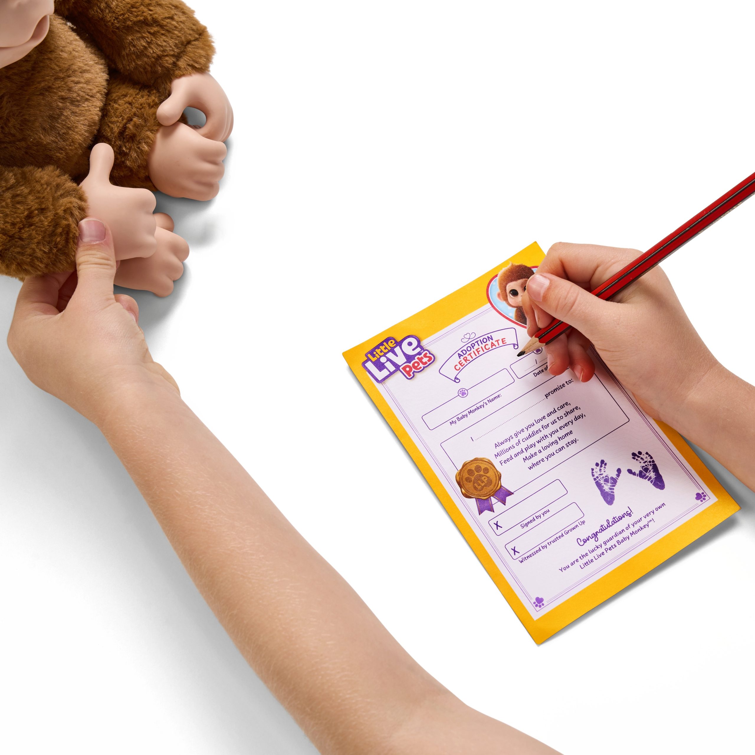 Little Live Pets – Interaktyvi bezdžionėlė - Image 6