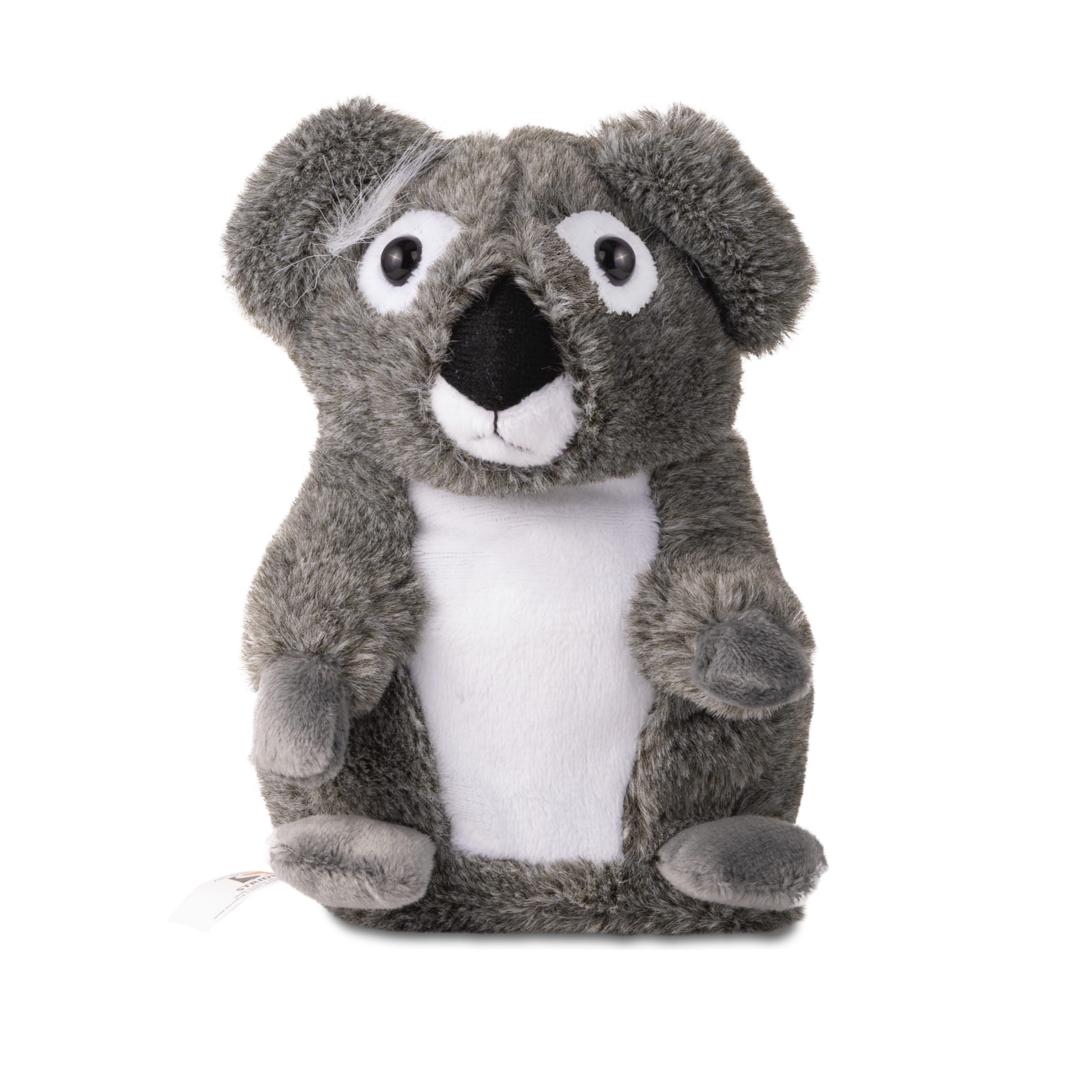 Pugs At Play – Kalbanti koala Joey - Image 2