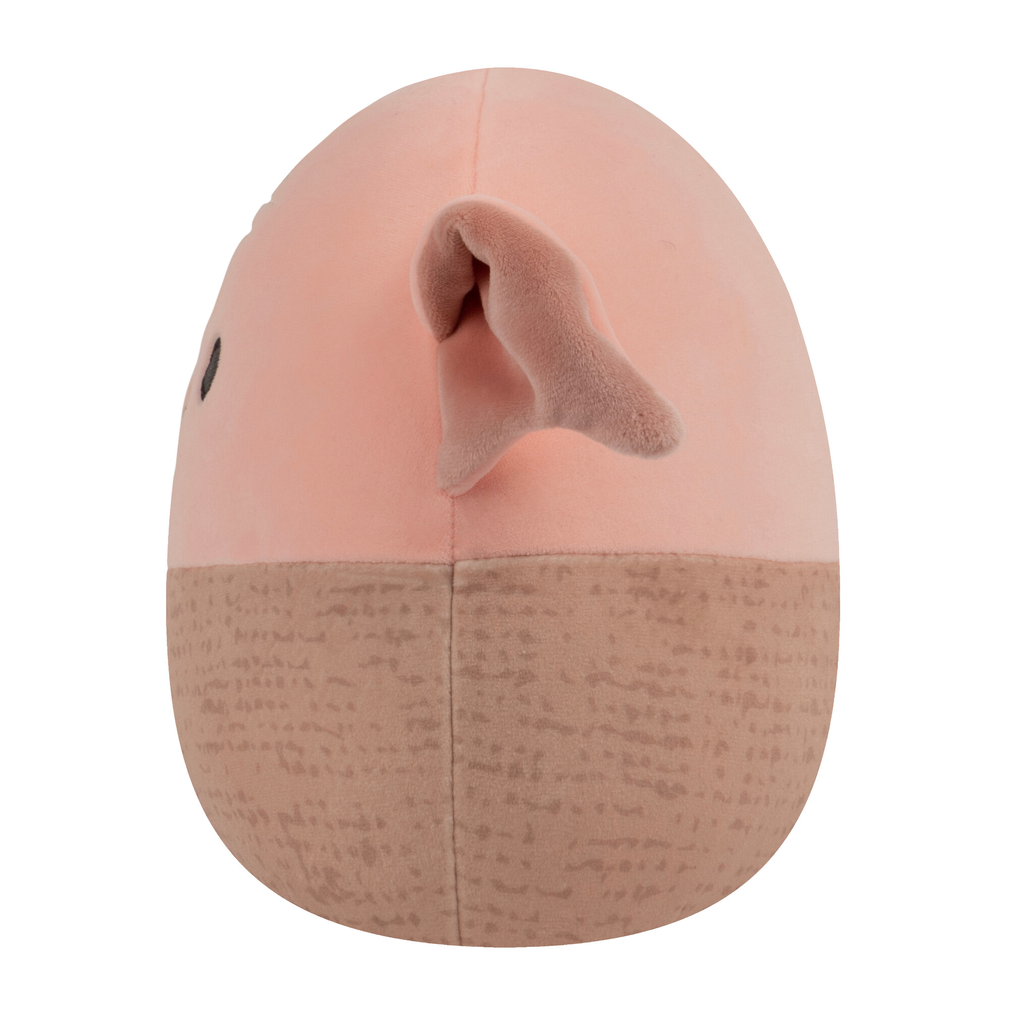 Harry Potter – Pliušinis žaislas W3, Squishmallows - 20 cm - Image 9