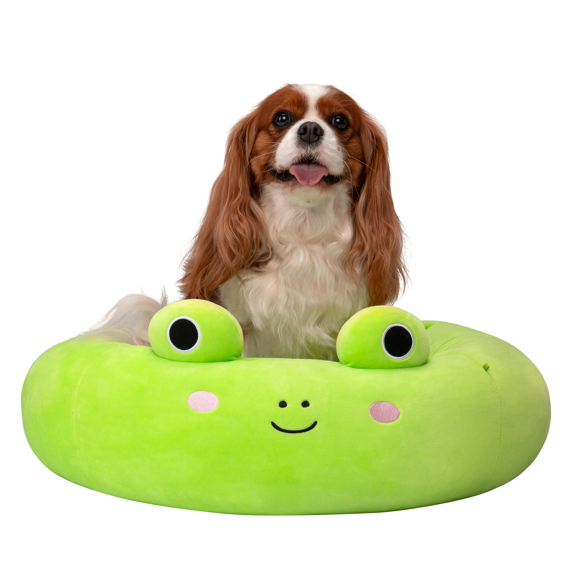 Squishmallows – Guoliukas varlytė - 60 cm - Image 6