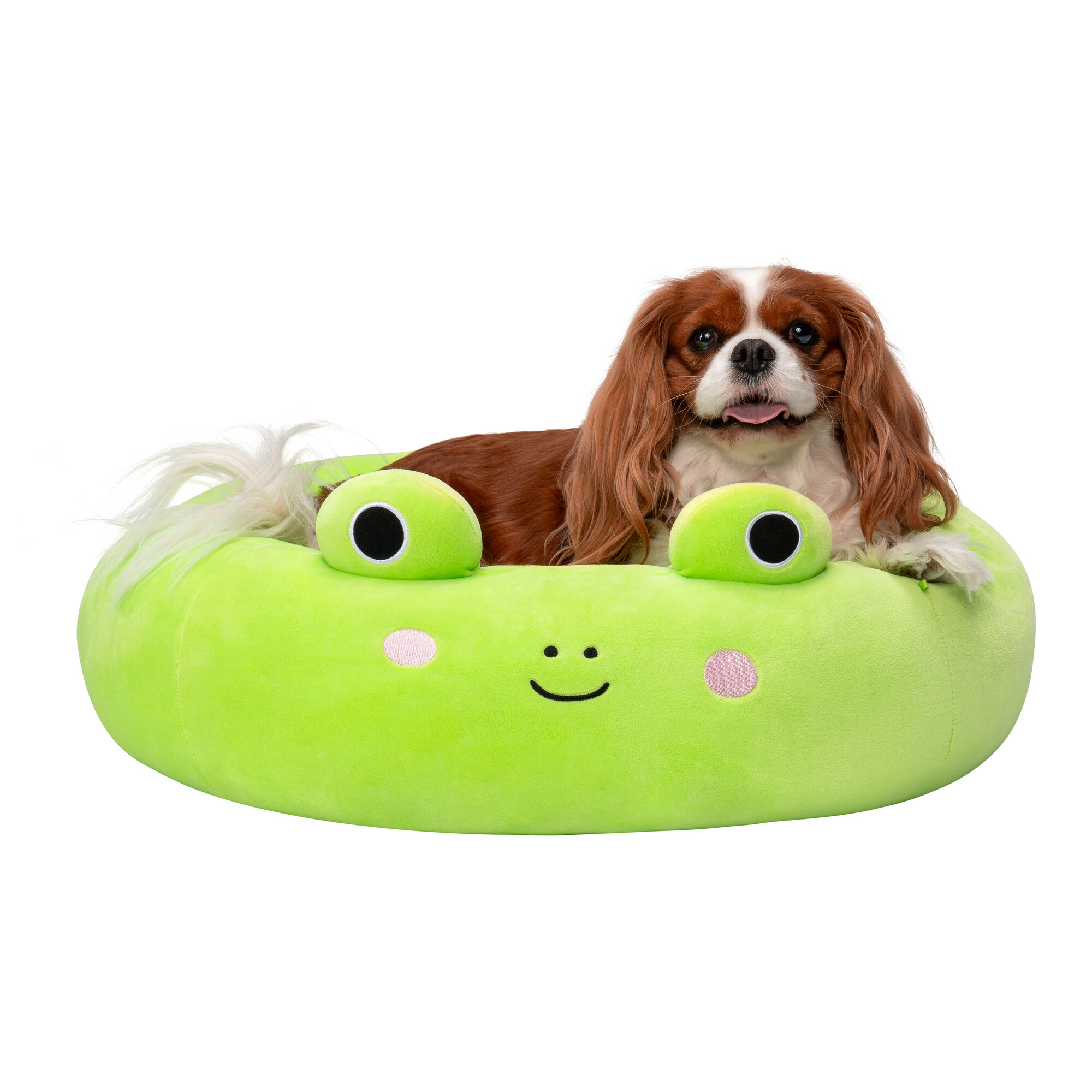 Squishmallows – Guoliukas varlytė - 60 cm