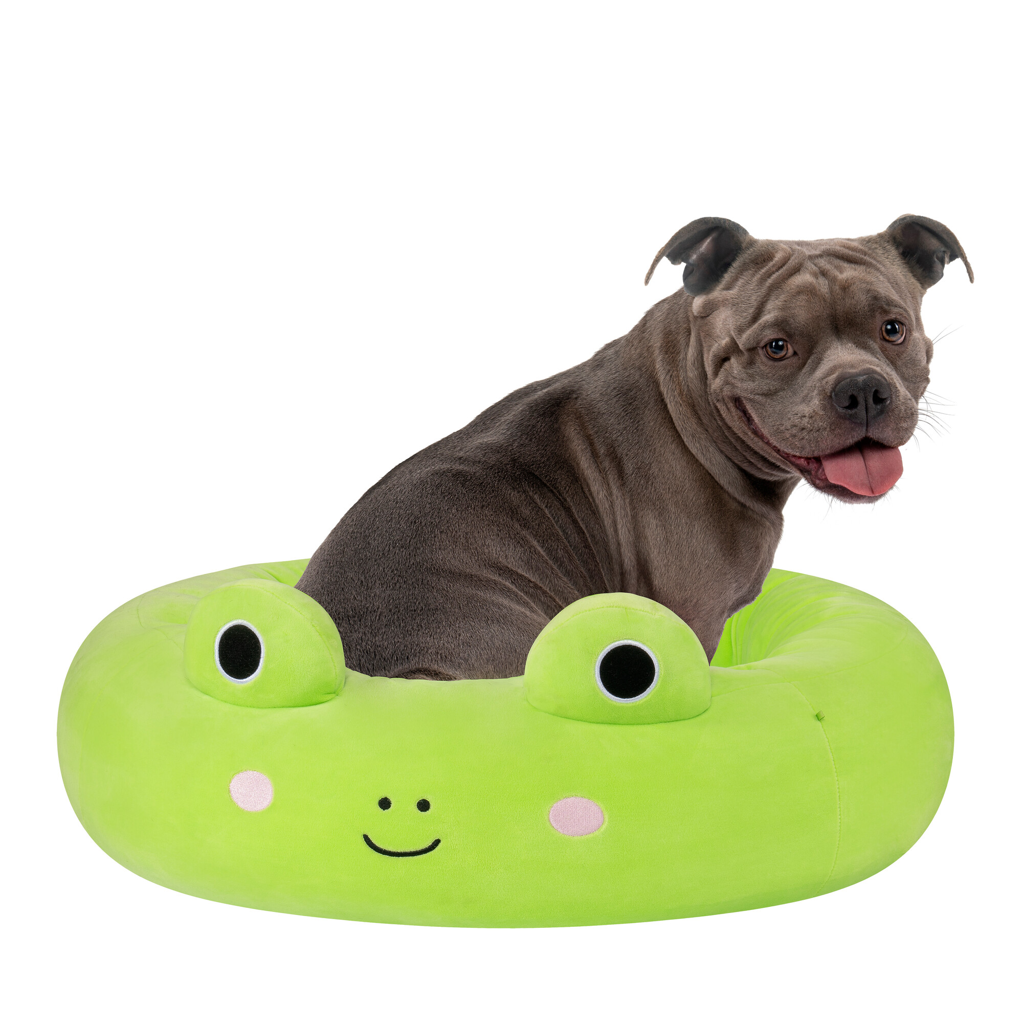 Squishmallows - Guoliukas varlytė - 75 cm - Image 7