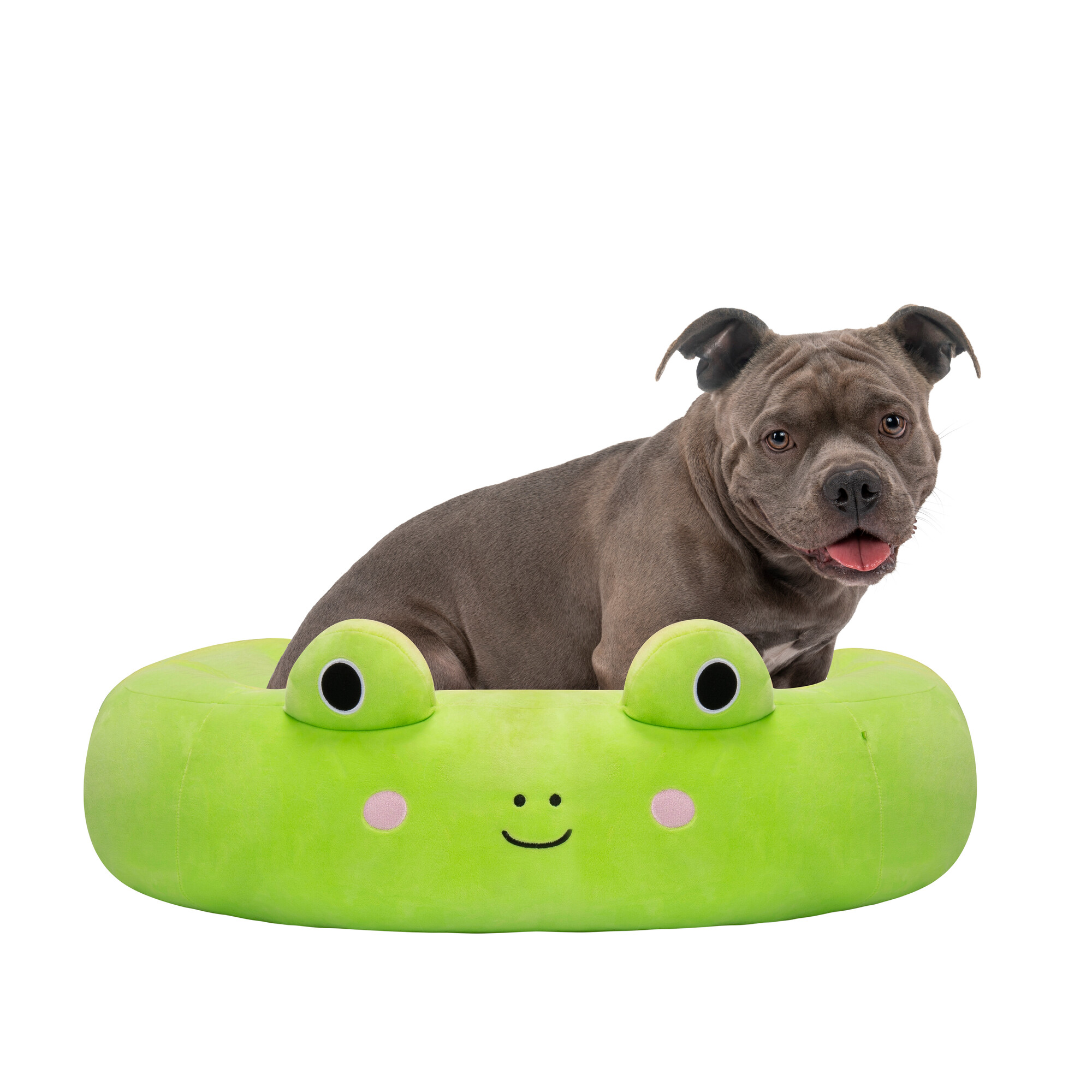 Squishmallows - Guoliukas varlytė - 75 cm - Image 8