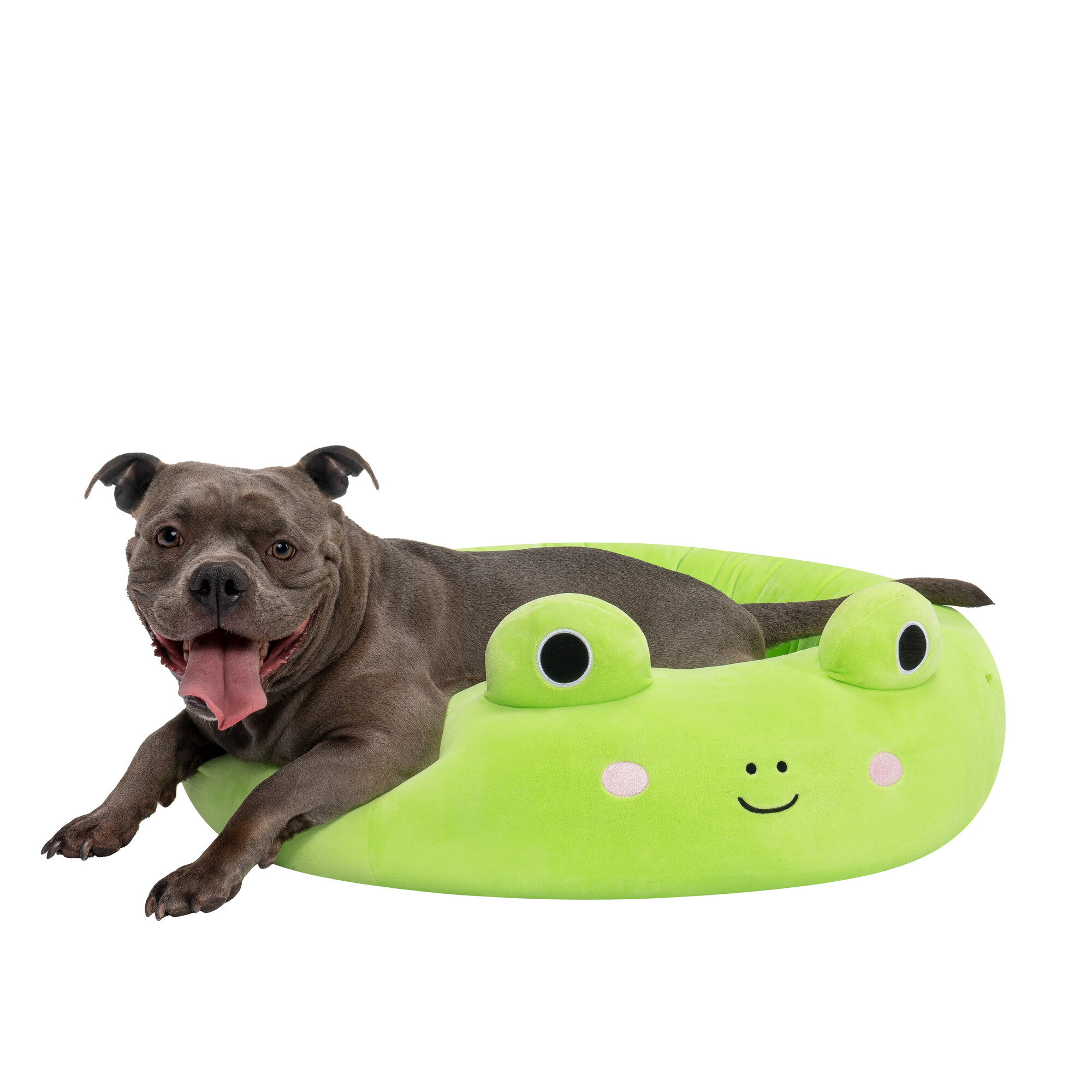 Squishmallows - Guoliukas varlytė - 75 cm - Image 9
