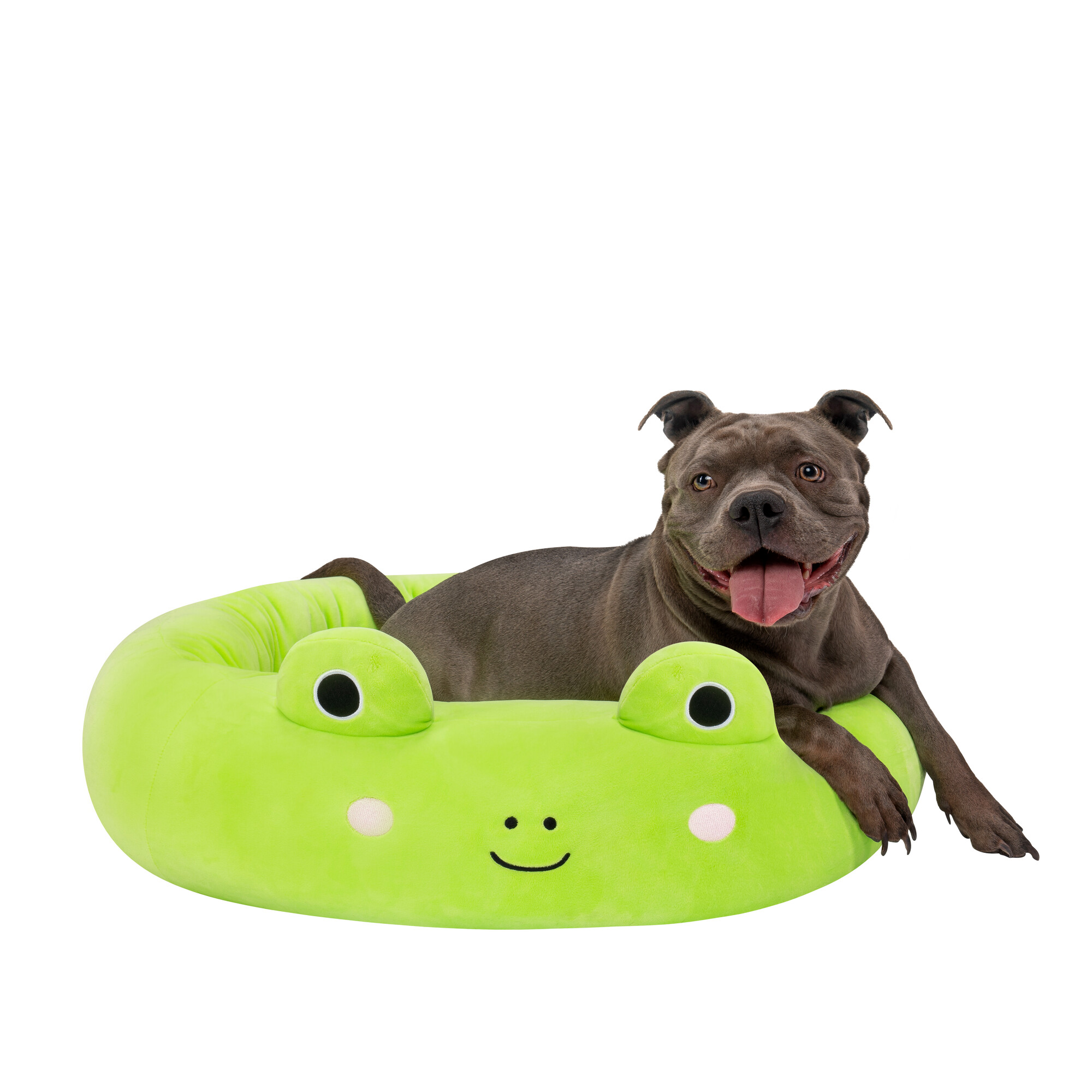 Squishmallows - Guoliukas varlytė - 75 cm