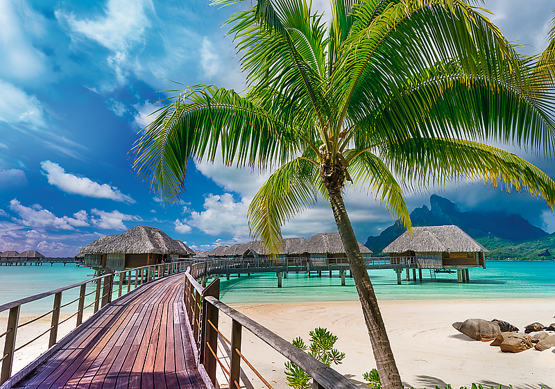 Trefl – Prime dėlionė „Bora Bora“, 1000 dalių - Image 2